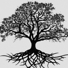 Raz with Lihla & Owen - Live Snippet