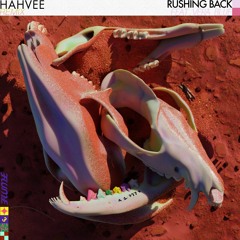 Rushing Back - Flume (HAHVEE Remix)