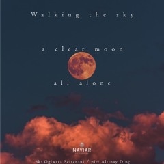 haiku #305: Walking the sky / a clear moon / all alone