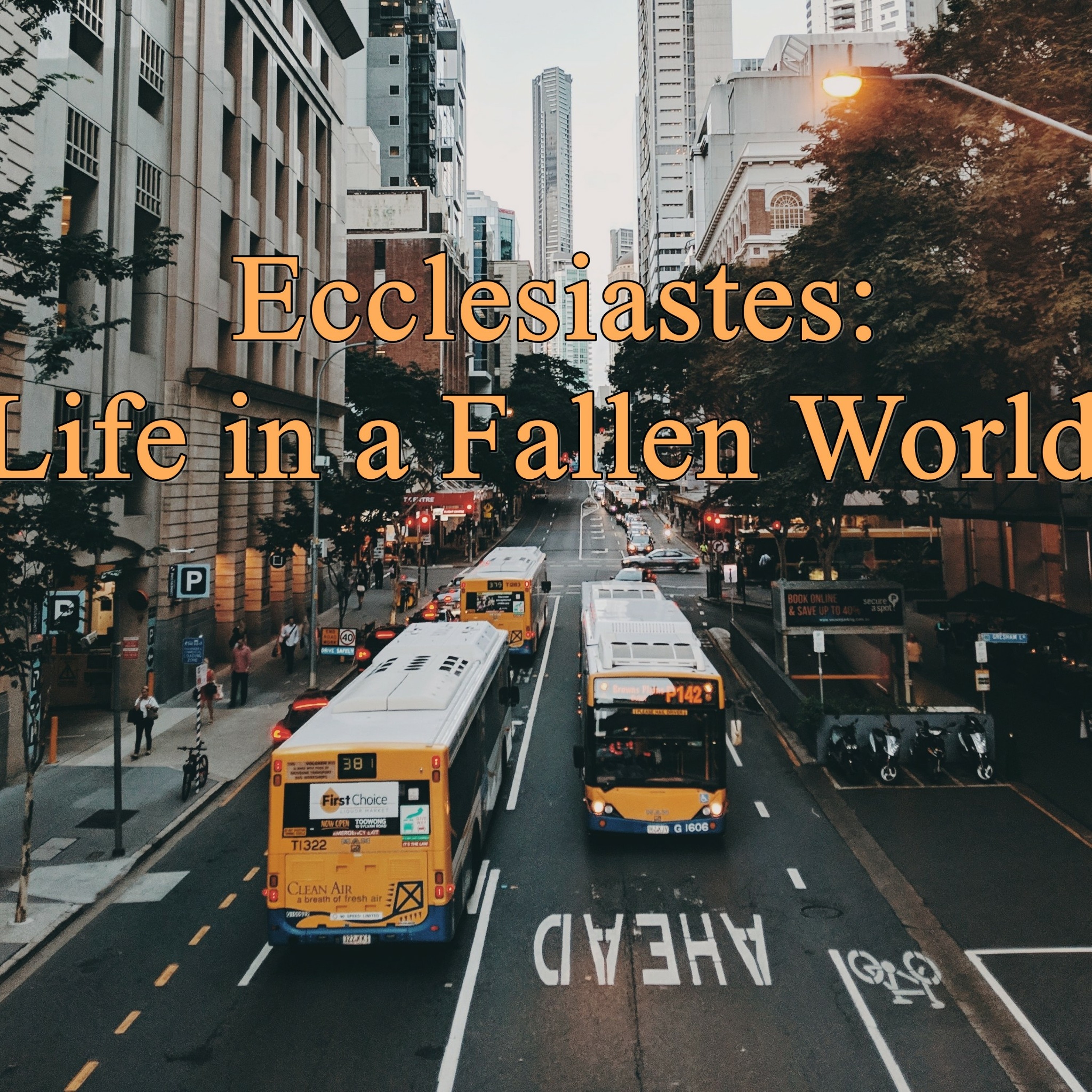 How to Really Enjoy Life (Ecclesiastes 9:1-18) episode artwork