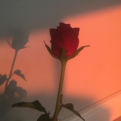 La Vie En Rose - Edith Piaf (Cover)