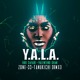 on Zone-33 &amp; Tanukichi - Y.A.L.A *FREE DOWNLOAD!!!*