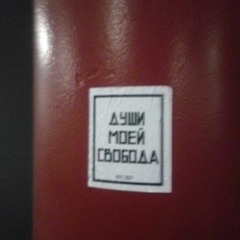 Латино Саранча