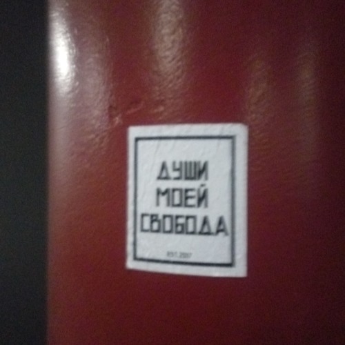 Латино Саранча