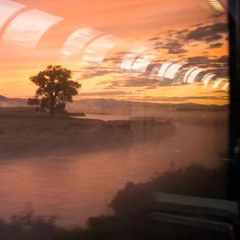 Ms. You (A Simple Recording)