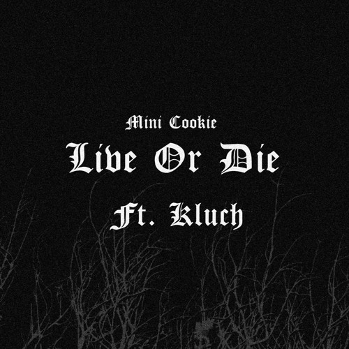 live or die (ft. $insAtoned)