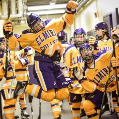 ELMIRA W HOCKEY GAME MIX 19-20