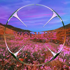 Wodiene (mirror co. rework)