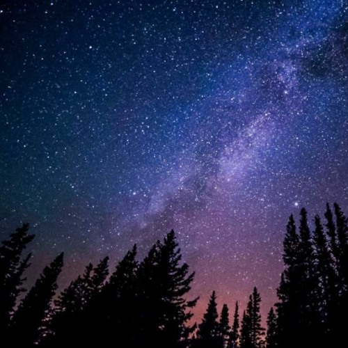 About Barbara - Bis Der Himmel Sich Dreht (Hardtekk Remix) [One - Iam Back].mp3