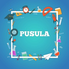 Pusula - İşletme - Prof. Dr. İge Pırnar