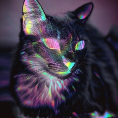 Skrillex - XENA ID (Ekali Edit)