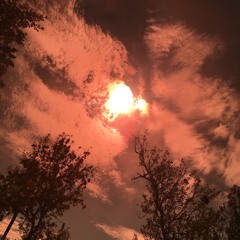 From The Scene ft. TCFMav (prod.getzh)