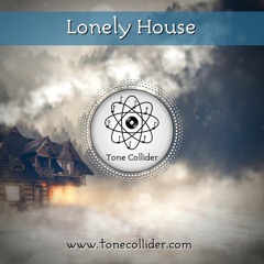 Tone Collider - Lonely House | BEAT FOR SALE