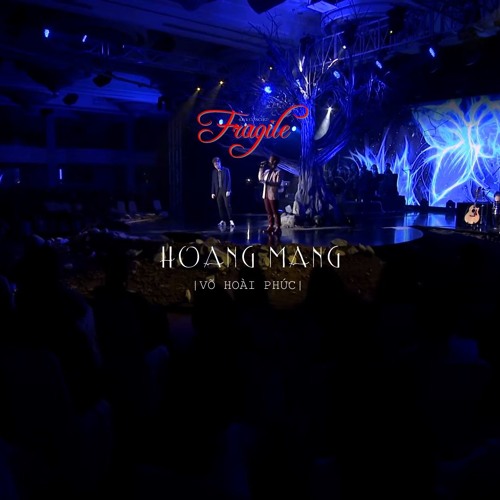Hoang Mang - Hà Anh Tuấn & Bùi Anh Tuấn || [FRAGILE CONCERT] in SAIGON