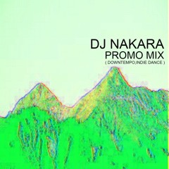 PROMO MIX ( DOWN TEMPO - INDIE DANCE )