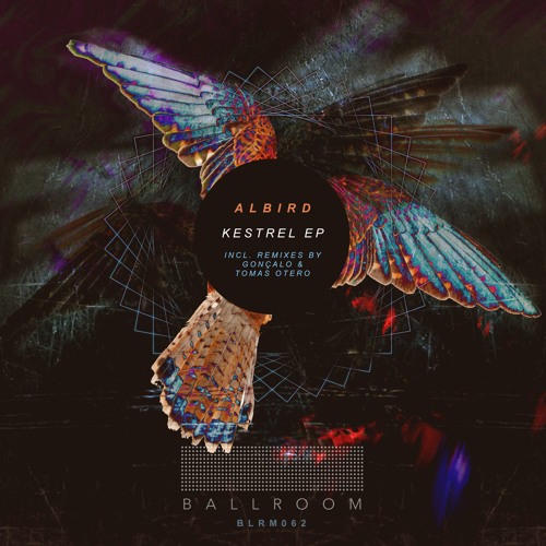 Listen To Albird Amsel Goncalo Remix Ballroom Records By Goncalo In My Tracks Playlist Online For Free On Soundcloud