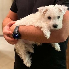 Winston