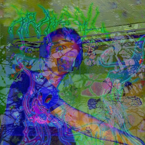 Morph#2 Araknyl
