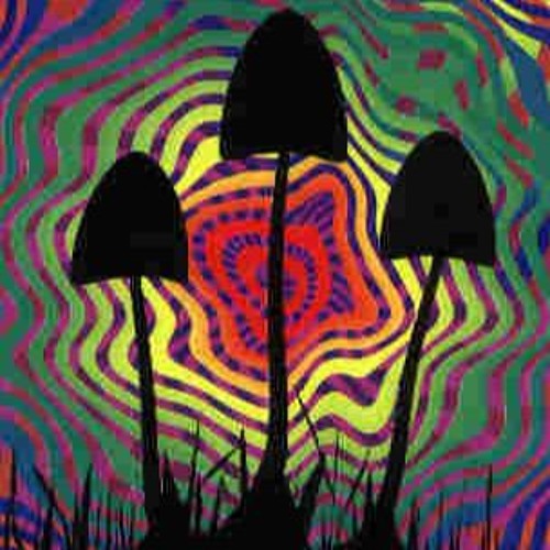 ROYTEK X TEKOTAK -Space Tribe