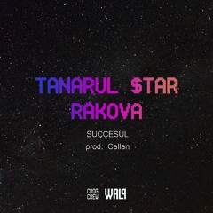Succesul (feat. Tanarul $tar) (prod. Callan)