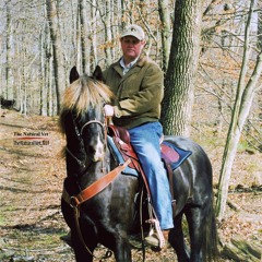 Mineral Wise and Salt Poor | Equine Affaire