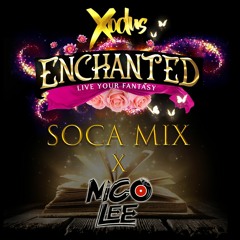 Enchanted Soca Mix