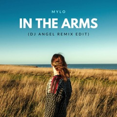 Mylo in The Arms (Tocadisco Remix) vs Do It Right (Angel Mike Remix Edit)