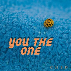 You The One (Prod. Prommy)
