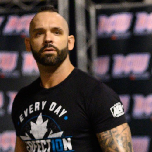 Resurrection of perfection- shawn spears aew theme