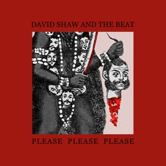 David Shaw and The Beat - Please Please Please
