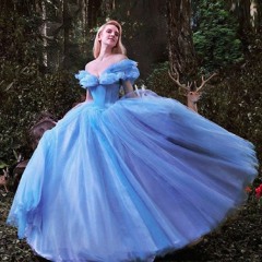 Cinderella in Ukrainian by Bonna Shejve