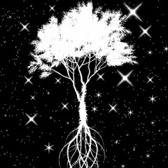 Tend To Your Seeds