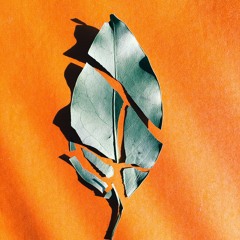 Isac Danielson -Broken- (slow Version)