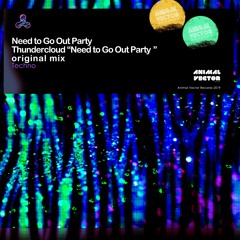 Thundercloud  ¨Need To Go Out Party¨