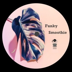 Funky Smoothie (Disco House Edition) part 2