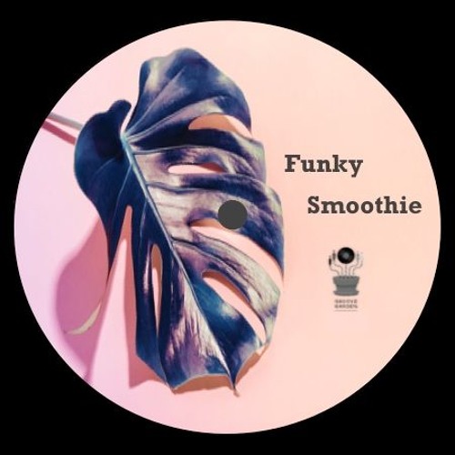 Funky Smoothie (Disco House Edition) part 2