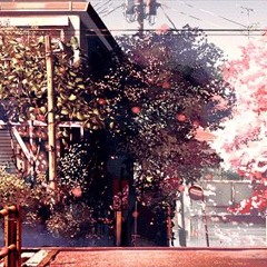 Doctor Van Sad - Autumn in kyoto