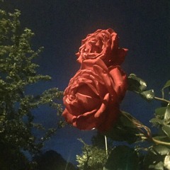 promise you a rose garden (prod. greafer)