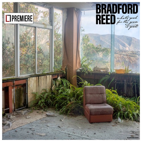 Bradford Reed - Magnetoreception (YBZ027)