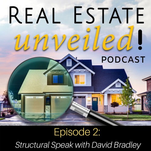 Episode 2: Structural Engineering with David Bradley of Bradley Engineering