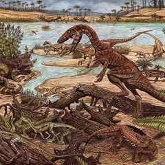 Prehistoric Collection