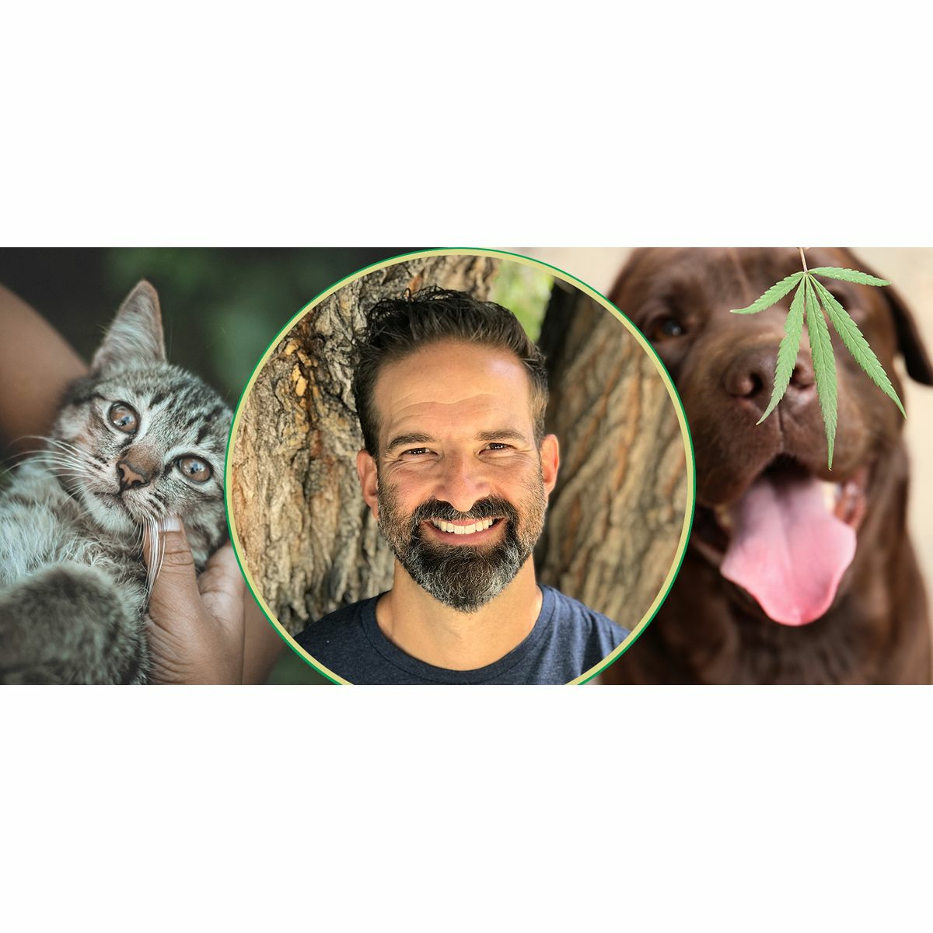 The Ganjapreneur Podcast