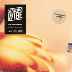 Sebastian Wibe - Another Level (Foramic Remix)