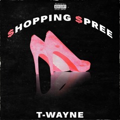 Shoppin Spree (Prod.By CamTaylor & NoizFreq)