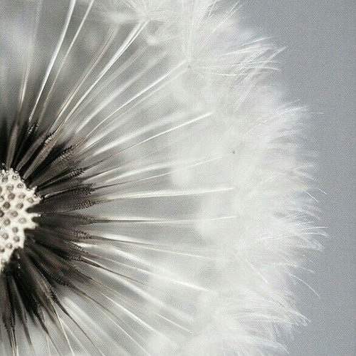 Criando Fluxo Financeiro através de perguntas do Access