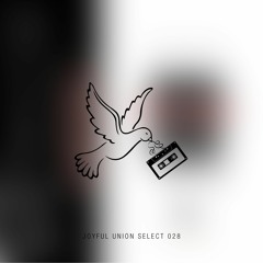 Joyful Union Select 028