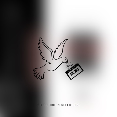 Joyful Union Select 028