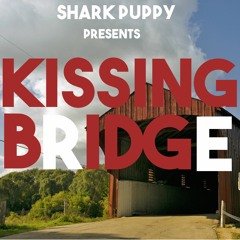 Kissing Bridge - Shark Puppy