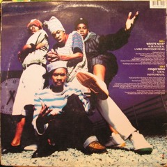 Leaders Of The New School - What's Next (Large Professor Remix)
