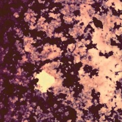 Holographic Stardust